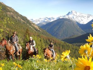 7 Tage Ranch-basierte Wildtierverfolgungs- und Naturschutzreitreise in British Columbia, Kanada