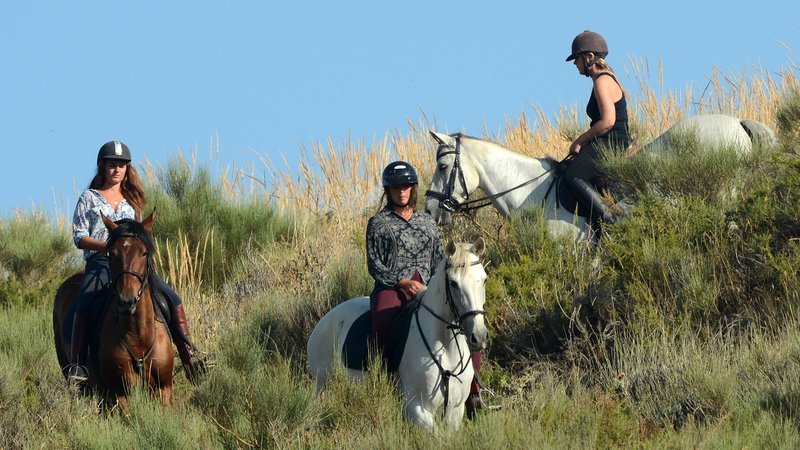 5 Day Captivating Horse Riding Holiday in Lanjaron, Granada