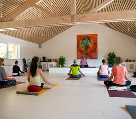 2 Day International Day of Yoga Special Mini Retreat in Scionzier, Haute-Savoie, in France - Photo 5