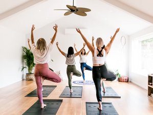 6 Day Let Your Light Lead - Yoga and Meditation Retreat in Koh Phangan, Thailand