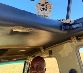 7 jours safari camping pour découvrir les Big Five de Tanzanie, Tanzanie - Photo 4