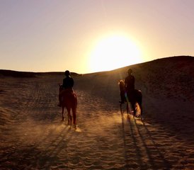 6 Tage Multi-Abenteuer-Reitmini-Urlaub in Ägypten - Photo 5