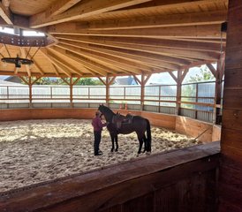 3 Tage Westernreitkurs: Reiten, Vertrauen und Bodenarbeit in Dermbach, Deutschland - Photo 3