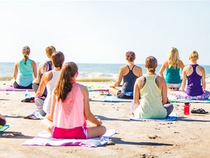 5 Day Yoga, Wine, and Wilderness Tour in Tasmania