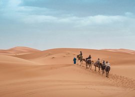 Sahara Retraites en Reizen