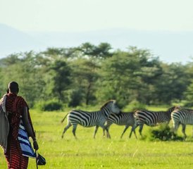 2 jours safari aventure en Tanzanie au parc national de Tarangire et au cratère du Ngorongoro - Photo 5