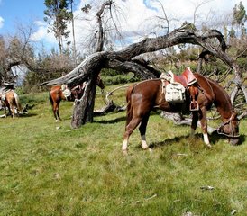 2 Tage Reiturlaub mit Andiner Identität in der Region Cusco, Peru - Photo 2