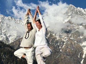 35 Day 300-Hour Yoga Teacher Training Course in Ashram in Himalaya, near Dharamshala