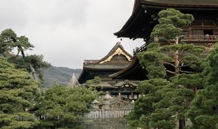 Nagano Retreats & Trips