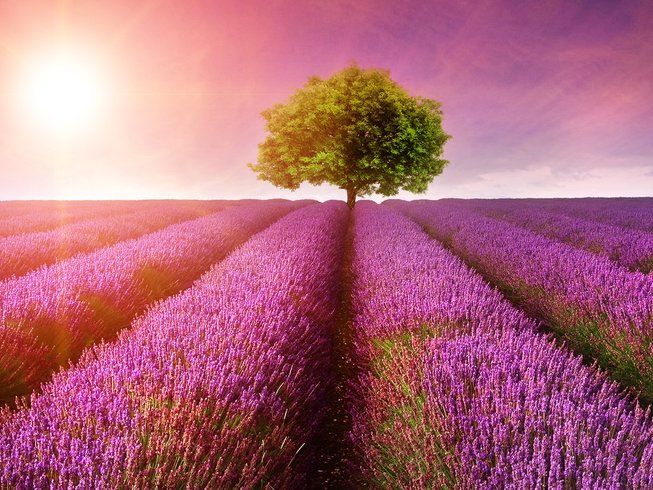 3 Day Living Stress And Anxiety Free Retreat In New Ross County Wexford Bookyogaretreats Com