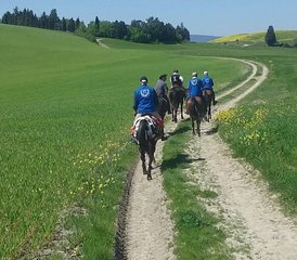 67 Day Horseback Riding Holiday along The Ancient Medieval Road in Siena, Tuscany, Italy - Photo 1