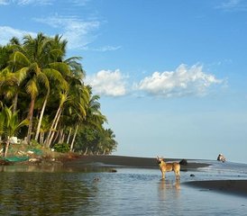 54 jours en stage de surf parfait pour tous les niveaux à Playa Hermosa, Costa Rica - Photo 1