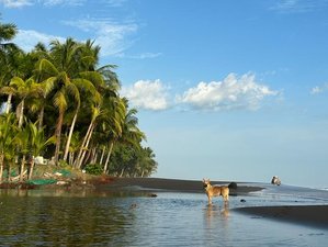 4 jours en stage de surf parfait pour tous les niveaux à Playa Hermosa, Costa Rica