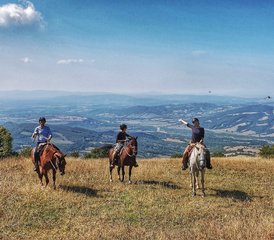 28 jours de vacances équestres en Toscane, province de Grosseto, Italie - Photo 1