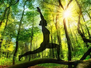 3 jours en stage de yoga « Les Sorcières » avec marche, landart et rituels en Occitanie, France