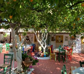 8 Jour Métamorphose - Transformations : Séjour de Yoga et de Coaching pour Femmes en Grèce - Photo 4