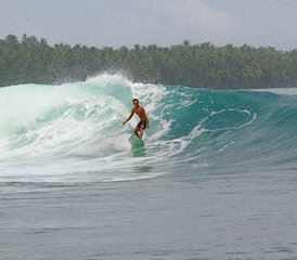 8 jours en stage de surf paisible avec bungalows en bord de mer et vagues de classe mondiale à Mentawai, Indonésie - Photo 5