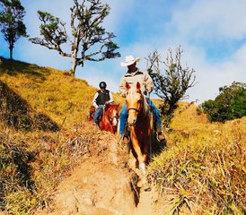 8 jours de séjour équestre Explorer 5 étoiles à Miramar, Puntarenas - Photo 2