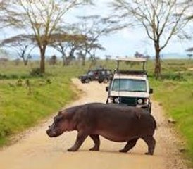 8 jours safari camping combiné Kenya et Tanzanie, Kenya et Tanzanie - Photo 2