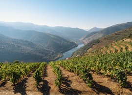 Douro Retreats und Reisen