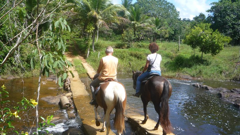 7 Day Eco Ranch and Advanced Trail Riding in a Beautiful Natural Setting in Itacaré, Bahia