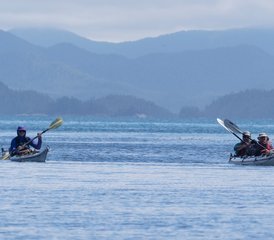 8 jours expédition kayak et faune à Bella Bella, Canada - Photo 3