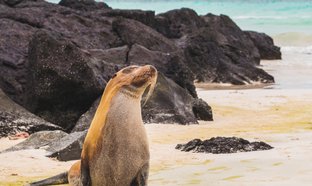 San Cristobal Island Retreats & Trips