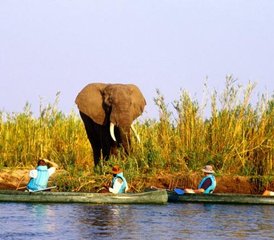 45 Día de Naturaleza Virgen: Safari en Zambia, en el Parque Nacional del Bajo Zambeze - Photo 1