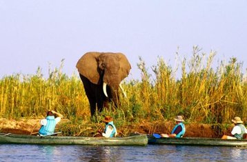 5 Day Untouched Wilderness: Zambia Safari Holiday in Lower Zambezi National Park