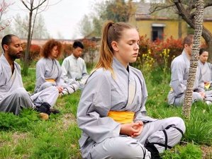 3 Months Shaolin Kung Fu, Tai Chi and Qigong Training at Maling Academy in Jiangsu, China