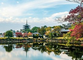 Nara Retreats & Trips
