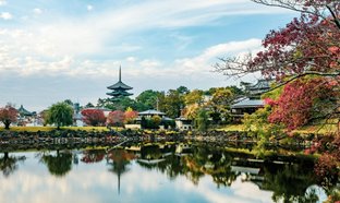 Nara Retreats und Reisen
