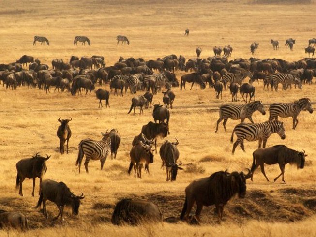 21 days kenya tanzania safari