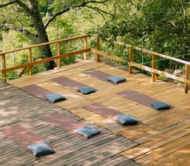 5 Day Yoga and Reiki I and II Course in Abruzzo National Park, Italy - Photo 2