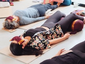 7 Day Women's Living Wild Retreat: A Finnish Winter Escape in Southern Savonia, Finland