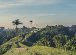 Bali Retreats & Trips