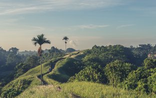 Bali Retreats & Trips
