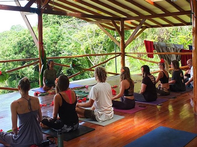 Mystical Yoga Farm Reviews | See More...