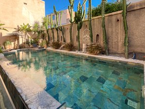 7 Day Surf Holiday for All Levels in Tamraght, Morocco 