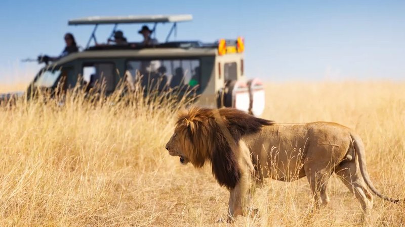 3 Days Best of Amboseli National Park Luxury Wildlife Safari, Kenya 