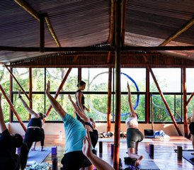 21 jours en stage de connexion à la forêt tropicale à El Castillo, Arenal, Costa Rica - Photo 2