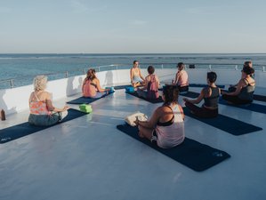 8 Day Mermaid and Dolphin Tour in Egypt