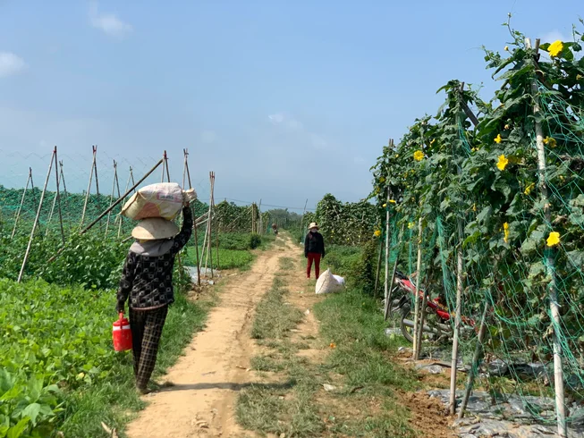 4 Day Hoi An to DMZ and Hue Loop Guided Motorcycle Tour in Central Vietnam photo 9