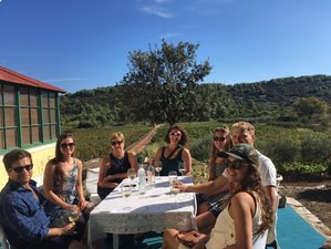 8 Days Sailing, Island Hopping and Wine Tour in Croatia