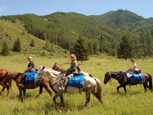 9 Day Horseriding Holiday in Kazakhstan's Hidden Gem: A Journey of Discovering Burabay National Park