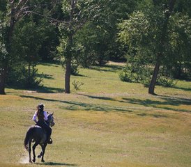 7 Tage Premium Geführter Reiturlaub in China: Pekinger Wahrzeichen, Graslandpfade und Reitkultur - Photo 2