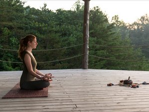25 Tage 200-Stunden Leidenschaft als Grund Yogalehrer Ausbildung in Maryville, Tennessee