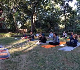 8 jours en stage de 50 heures Alchemist, yoga, méditation et soins en Kerala, Inde - Photo 3