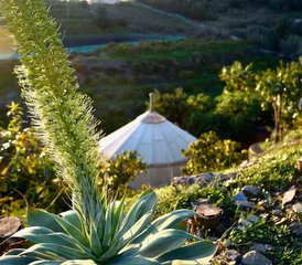 8 Tage Yoga & Entspannung: Deine Herzensreise in Andalusien, Spanien - Photo 3