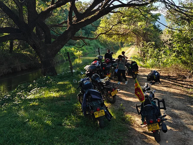9 Day Serendipity in Serendip Guided Explorer Motorcycle Tour on Royal Enfield in Sri Lanka photo 7